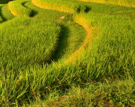 小白白谈情感