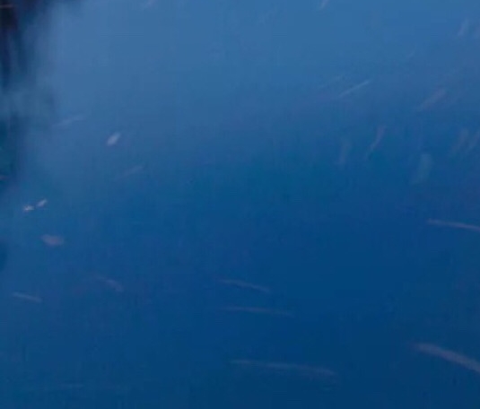 风风卦情感