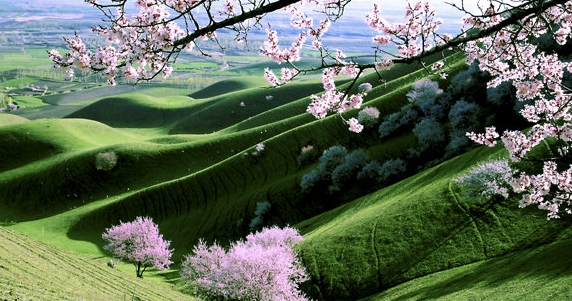旅居人的生活感悟