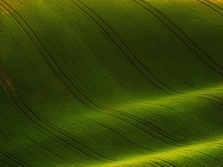 构筑生活设计
