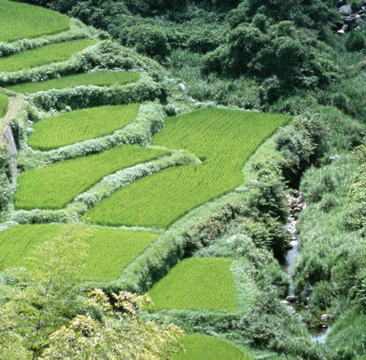 情感哲学与情感教育