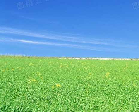 什么叫做疯狂购物
