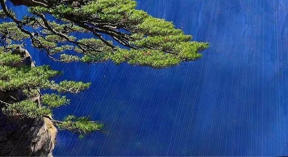 情感文案背景图