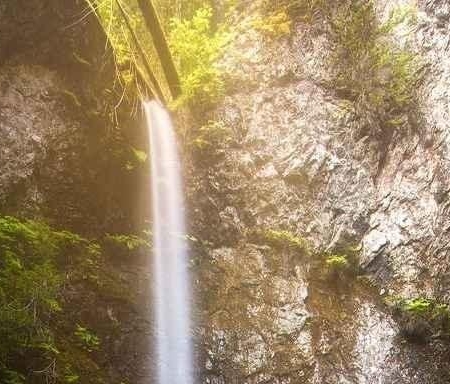 小米商城哨兵红包