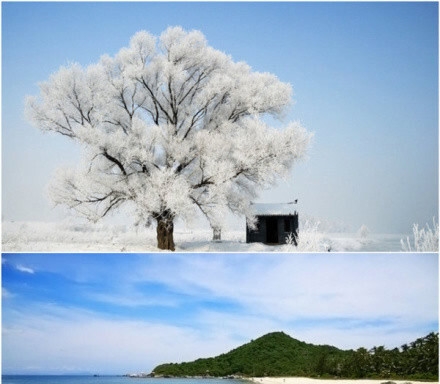 同城果蔬商城