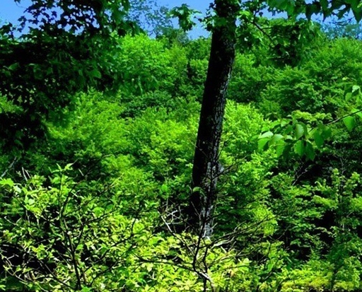 黄岛多元商城