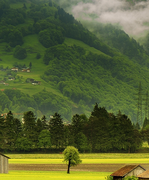 京东商城可以邮寄到日本吗