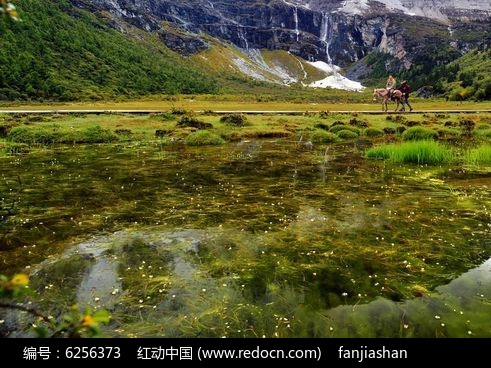 名师蛋糕