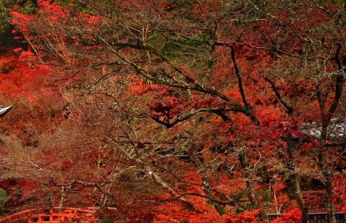 京东生活百货