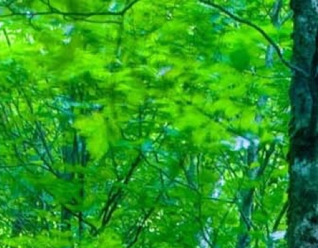 武装情感