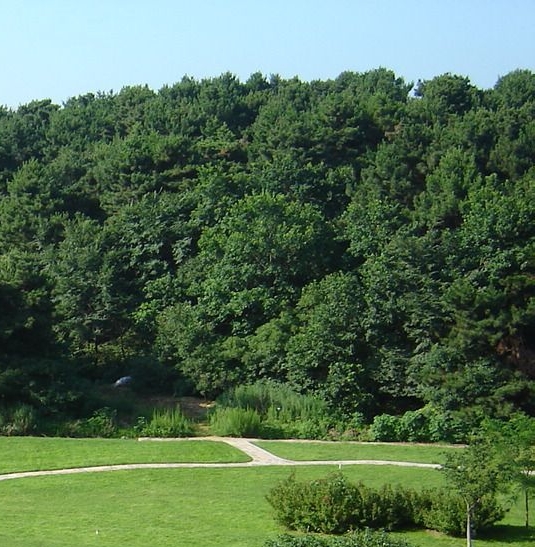 37度京东商城