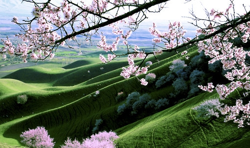 风格