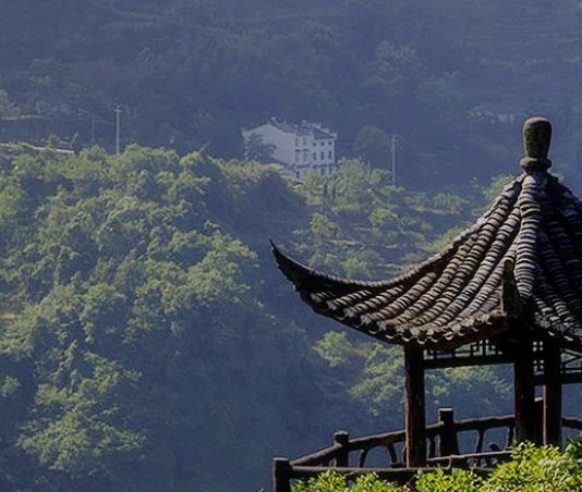 小y情感影视