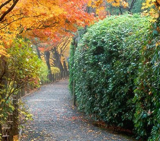 川西人文旅游攻略
