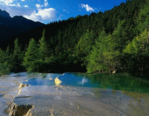 山海情感悟麦苗