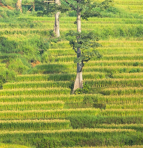 上海机场购物app