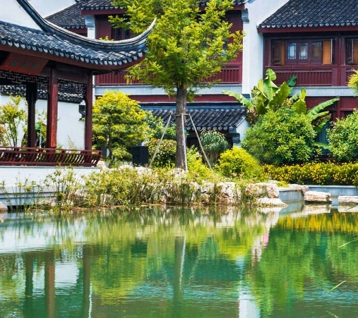 婚姻不是生活的全部