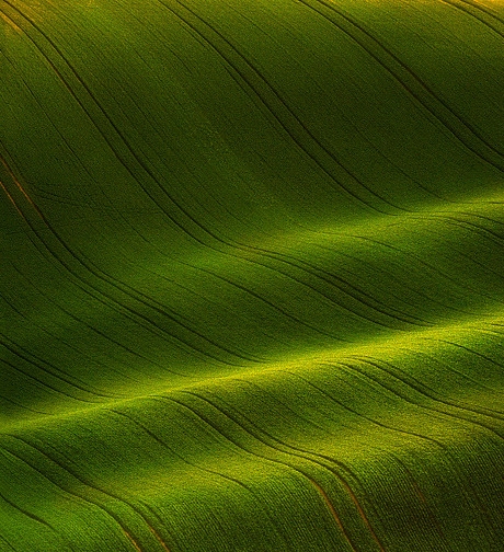 中酷商城口号
