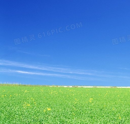 生活中的阳光