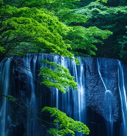 艺术红砖怎么砌墙