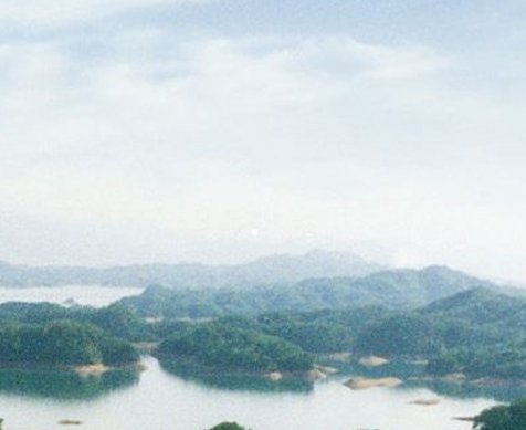 情感dm开本流程