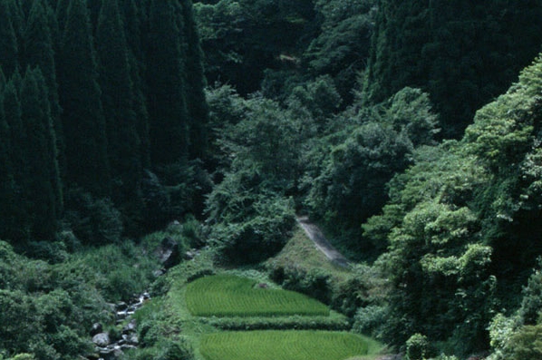 20个生活小常识