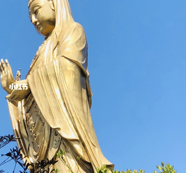 life生命和生活