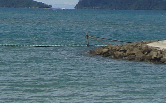 哈利波特兄妹头像