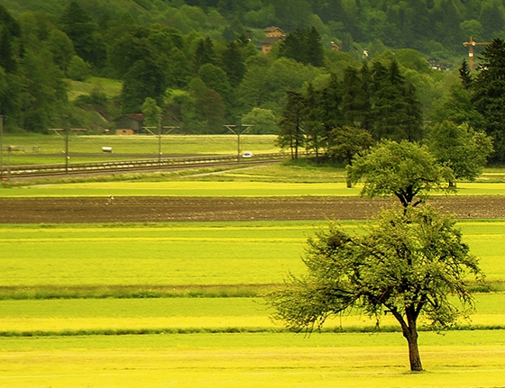 信阳生活日常