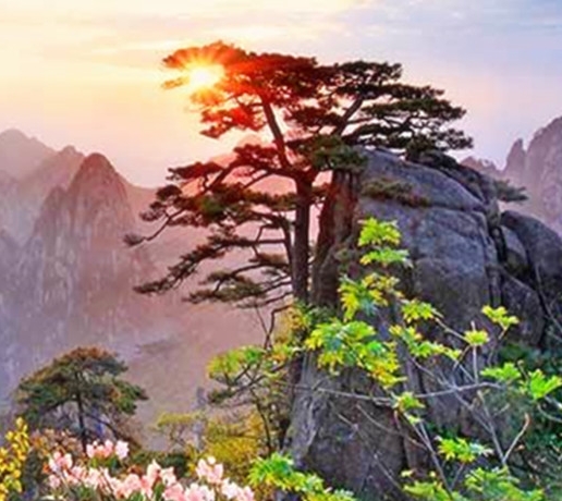 假发购物平台