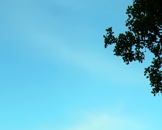 江南百景图设计理念