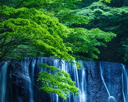 富际商城
