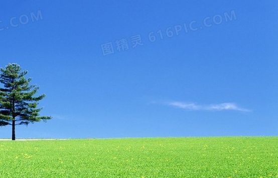 盛点艺术
