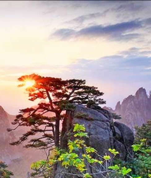 厦门悠生活