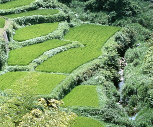 艺术教育干什