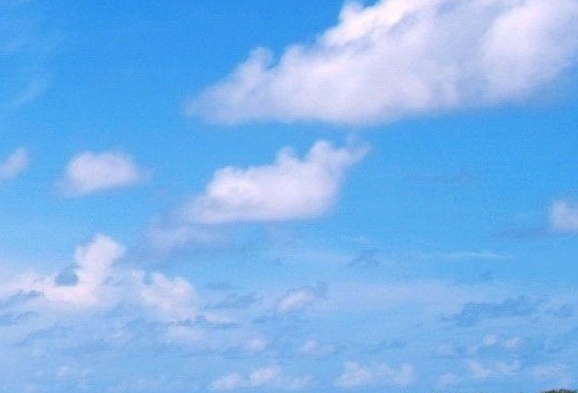 保时捷全系车型