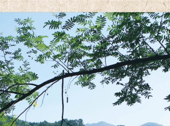 鹤壁肯德基营业时间