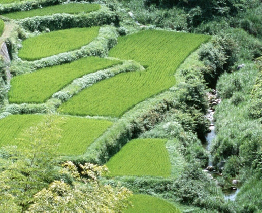 宜阳霍比特小镇在哪里