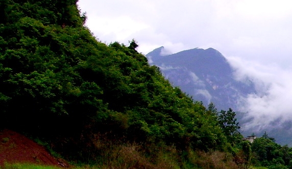 情感复合师可靠吗