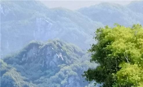 钱币的版式