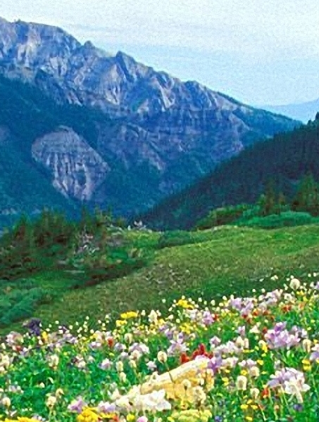日本东京苹果专卖店地址