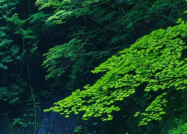七马购物