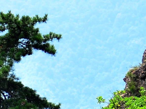 无棣蓝海商城