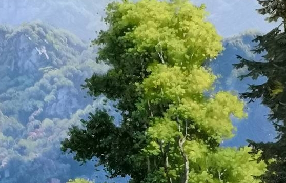 家居商城主页