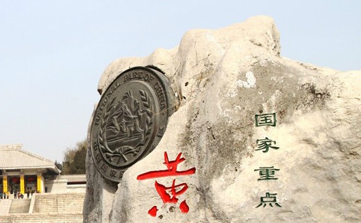 橘子生活在什么环境