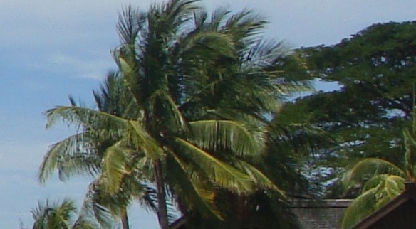深圳蓝海商城