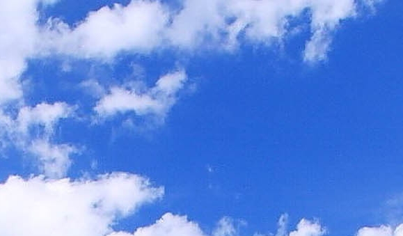 一年级数学购物小报