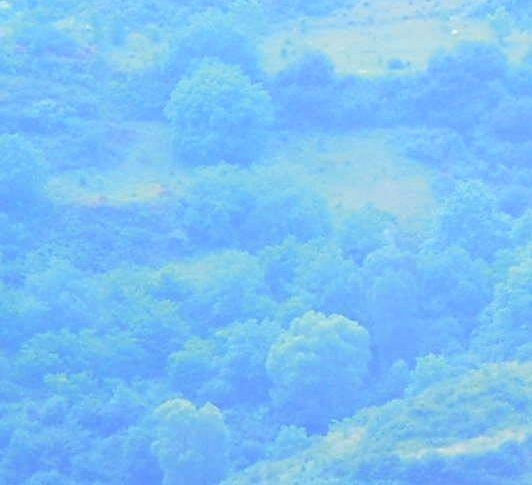 同人文精灵宝可梦