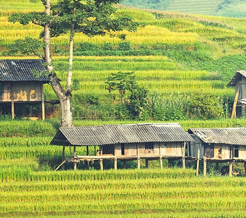 商用房可以出租住人吗