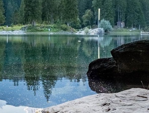 梅子湾山系生活